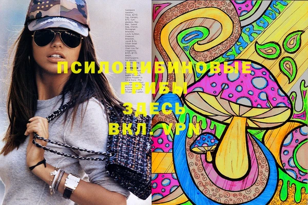дурь Володарск
