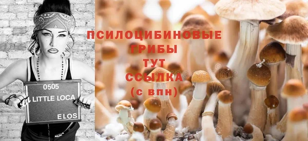 гашик Волоколамск