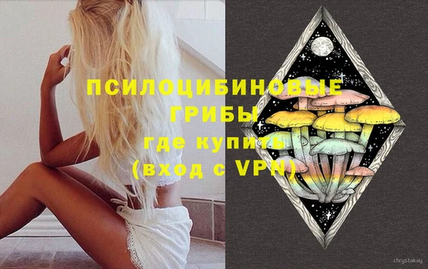 гашик Волоколамск